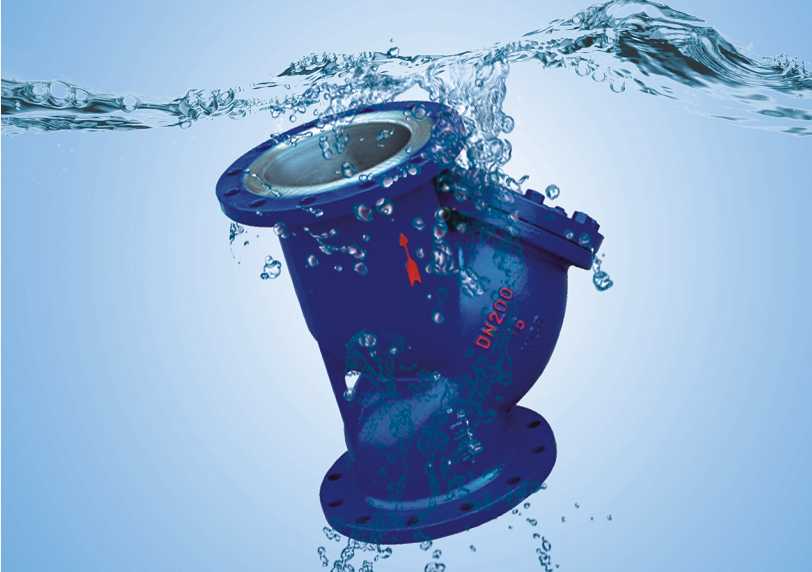 Flange Y Filte