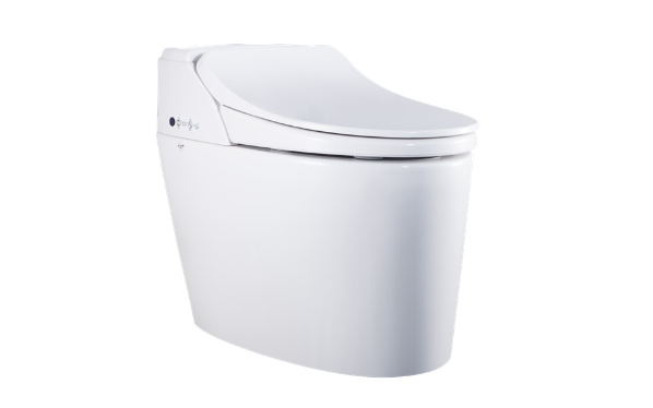 What are the common specifications and models of toilets?