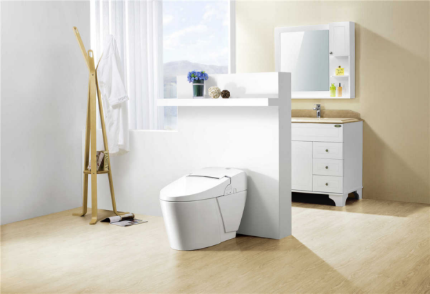 Are Intelligent Toilets Worth It? A Complete Analysis