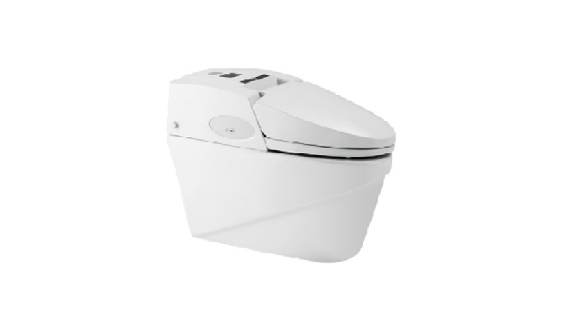 Understanding User-Friendliness in LESSO’s Intelligent Toilets